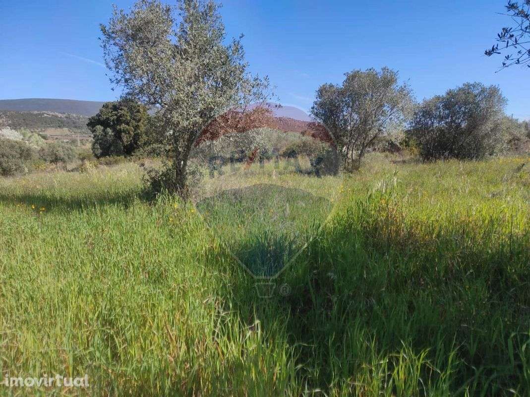 Terreno  para venda - Grande imagem: 3/5