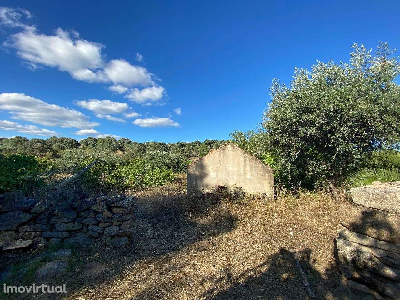 Quinta - Grande imagem: 3/10