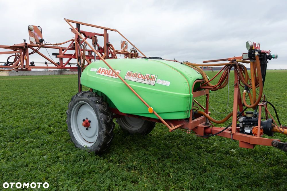 Krukowiak Apollo - 6