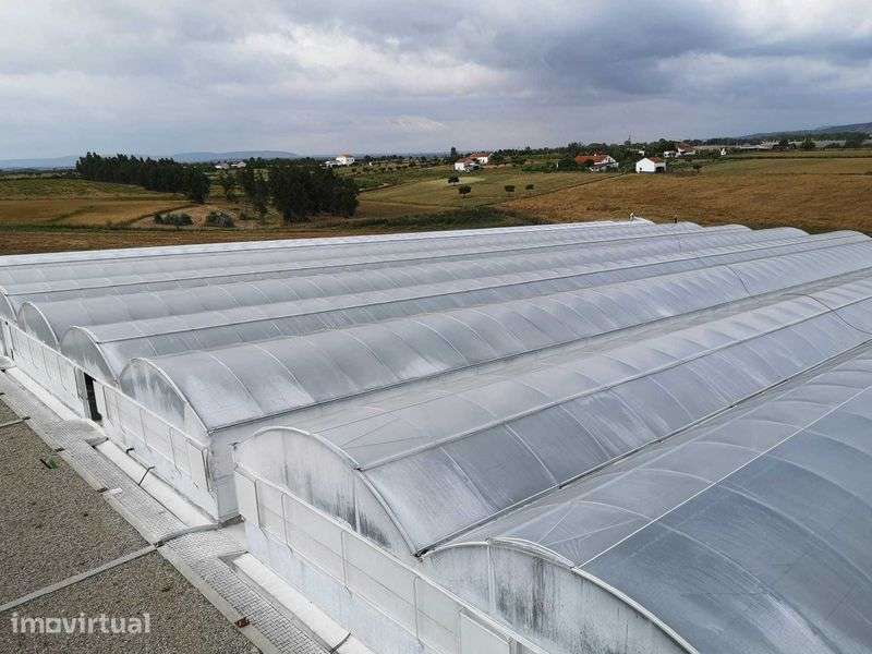 Propriedade em regadio 20 hectares para arrendar / Alugar - Grande imagem: 2/12