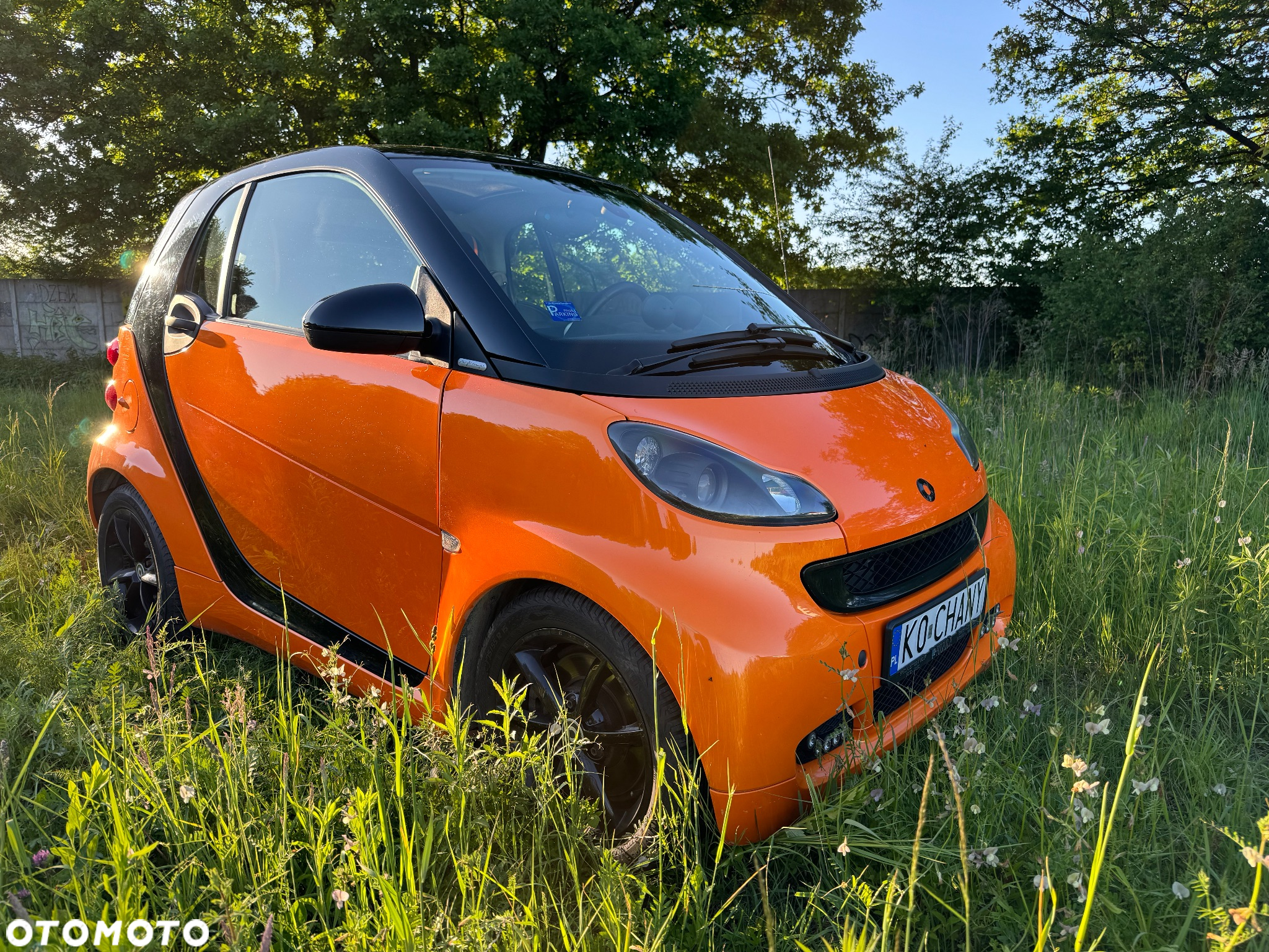 Smart Fortwo & passion cdi dpf - 4