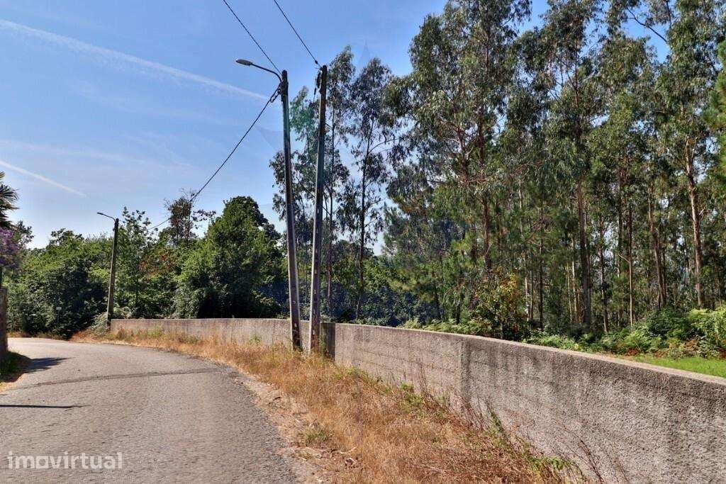 Terreno rústico em Goães, Vila Verde - Com 6030m2 - Grande imagem: 3/25