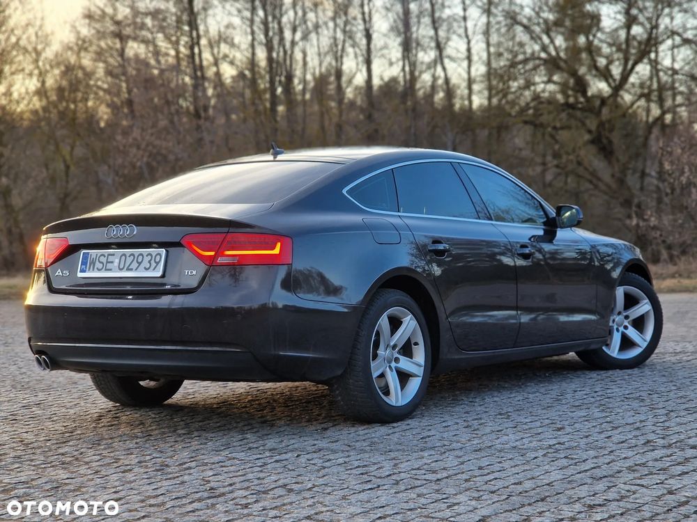 Audi A5 Sportback 2.0 TDI (clean diesel) DPF multitronic - 19