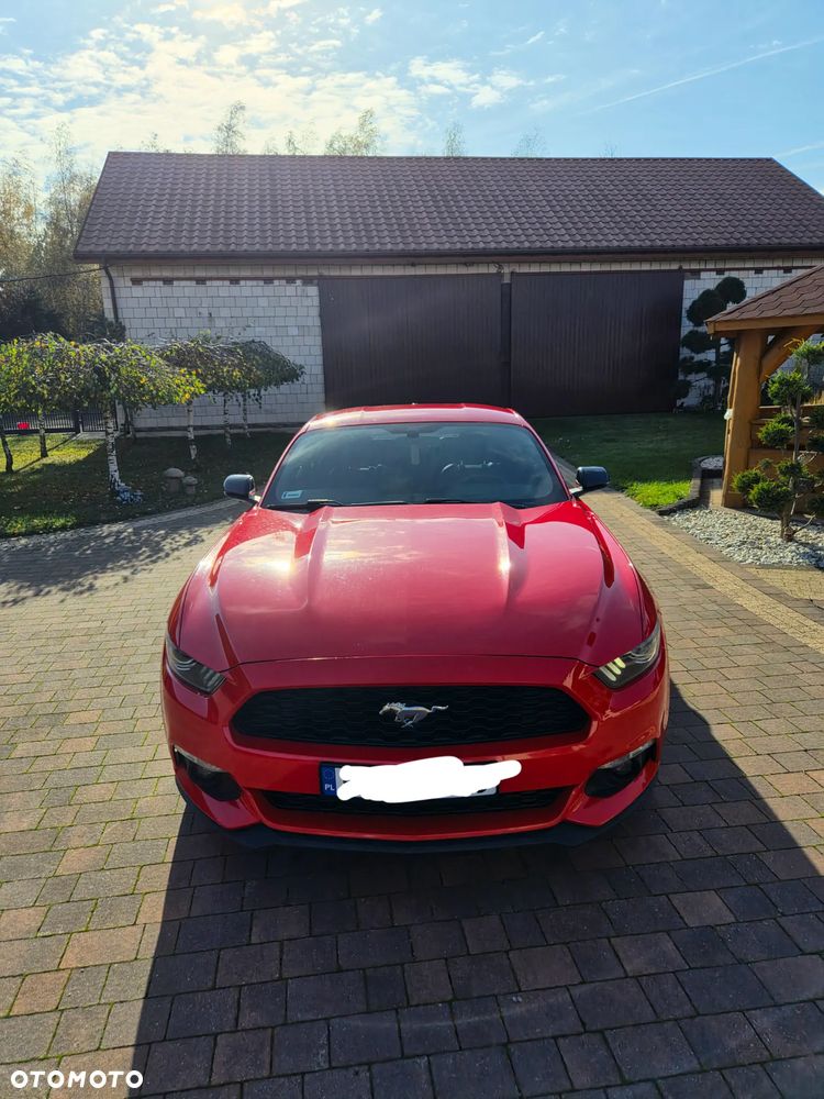 Ford Mustang 2.3 EcoBoost - 3