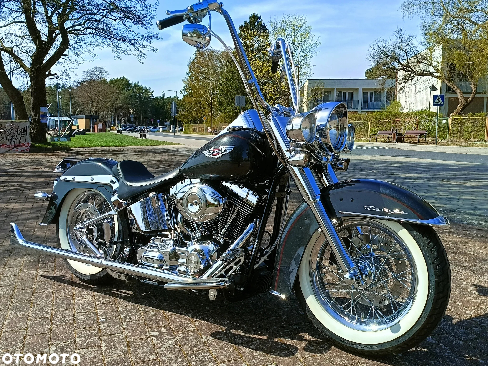 Harley-Davidson Softail Deluxe - 2