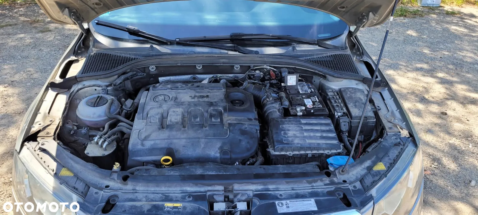 Skoda Octavia 2.0 TDI Edition DSG - 22