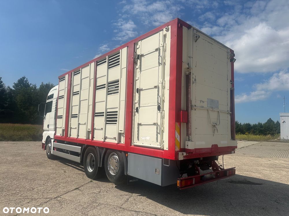 MAN TGA 26.460  DO ZYWCA  3 POZIOMY - 4