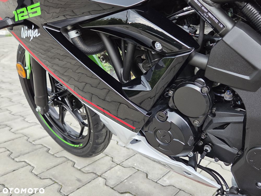 Kawasaki Ninja - 32