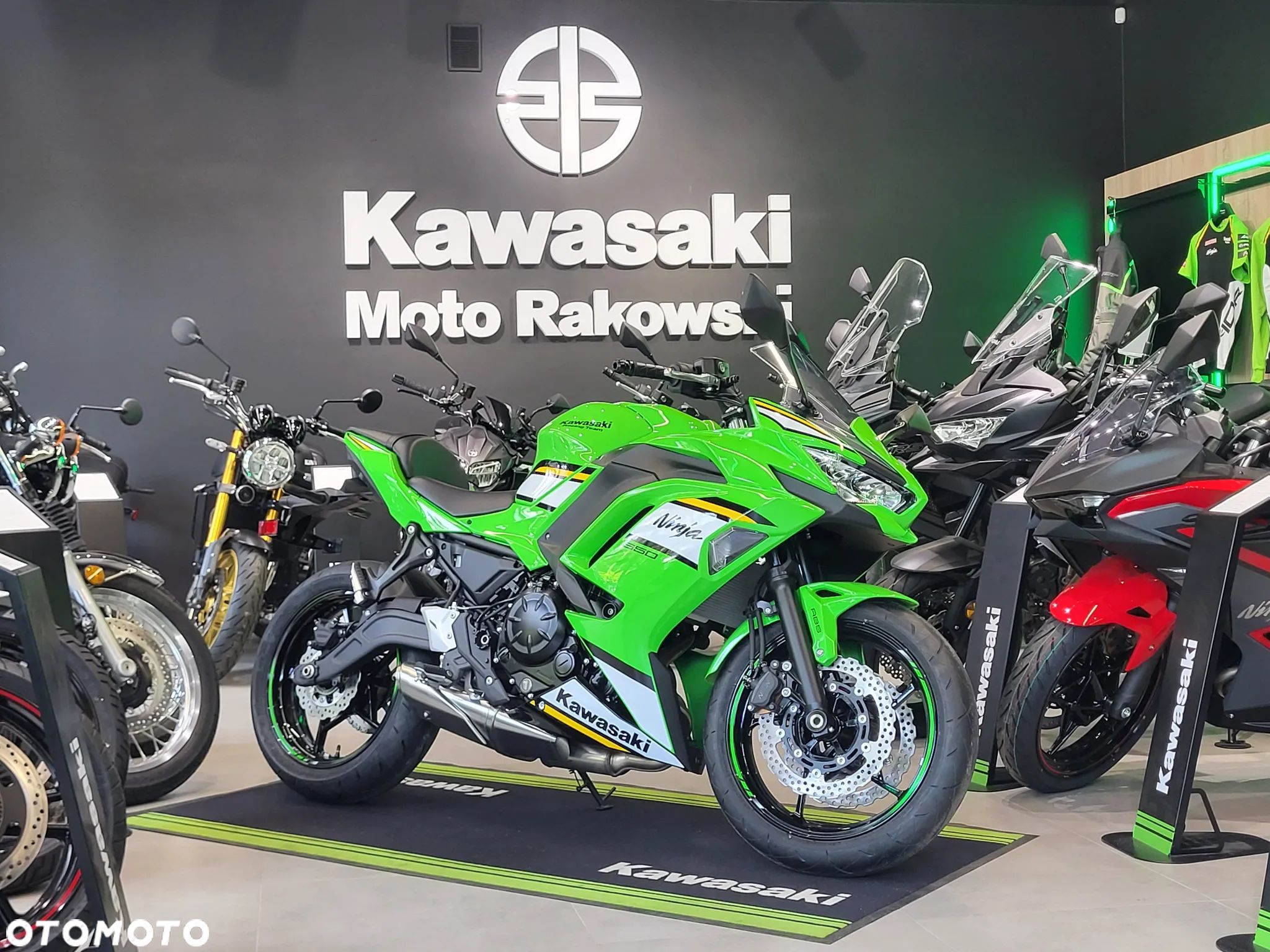 Kawasaki Ninja - 1