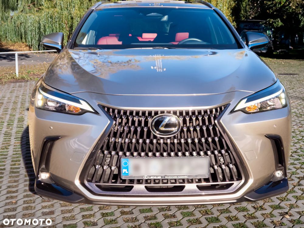 Lexus NX 350h Prestige AWD - 2