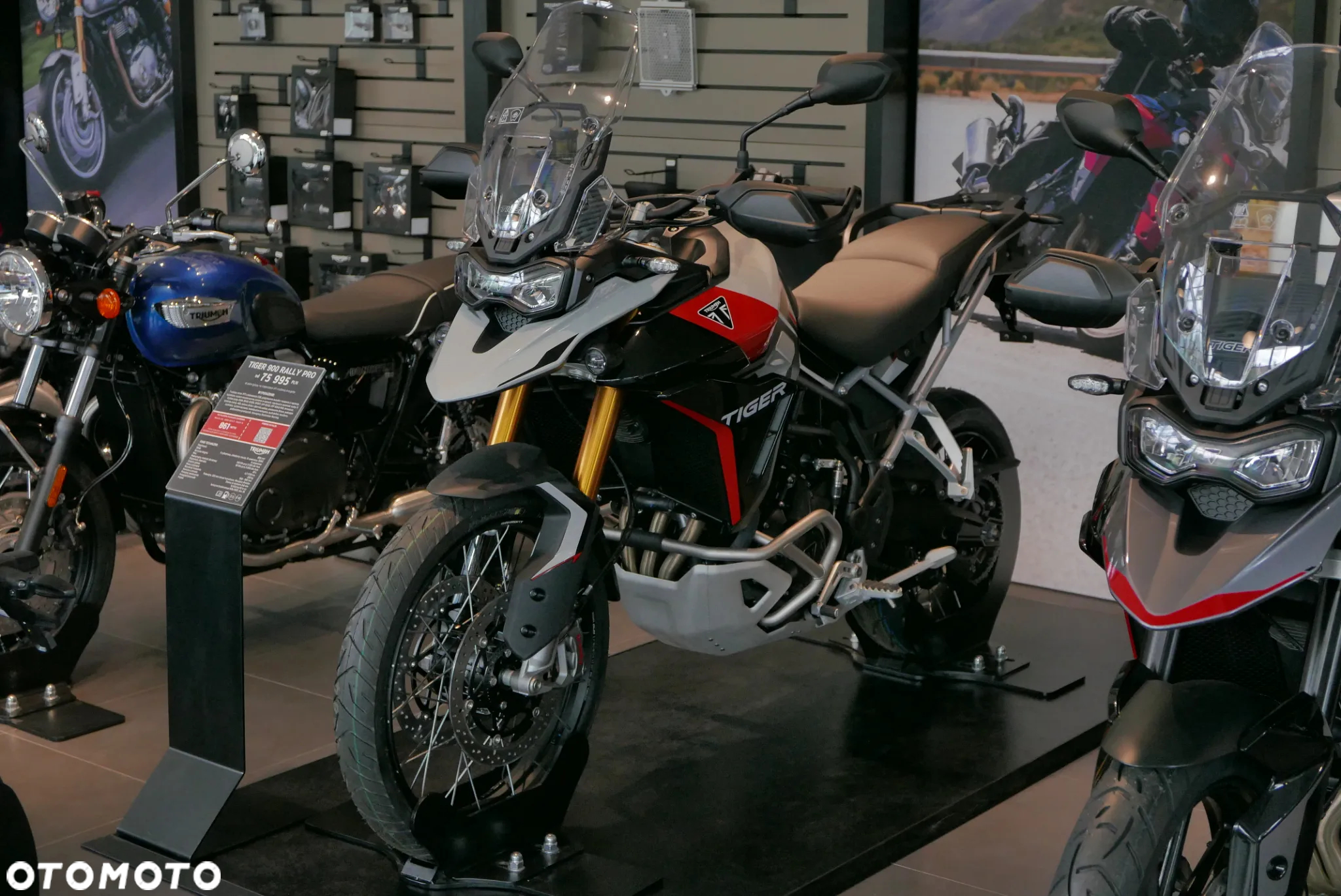 Triumph Tiger - 14