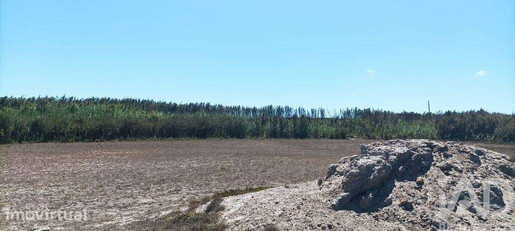 Terreno em Ferrel de 3440,00 m2 - Grande imagem: 4/30