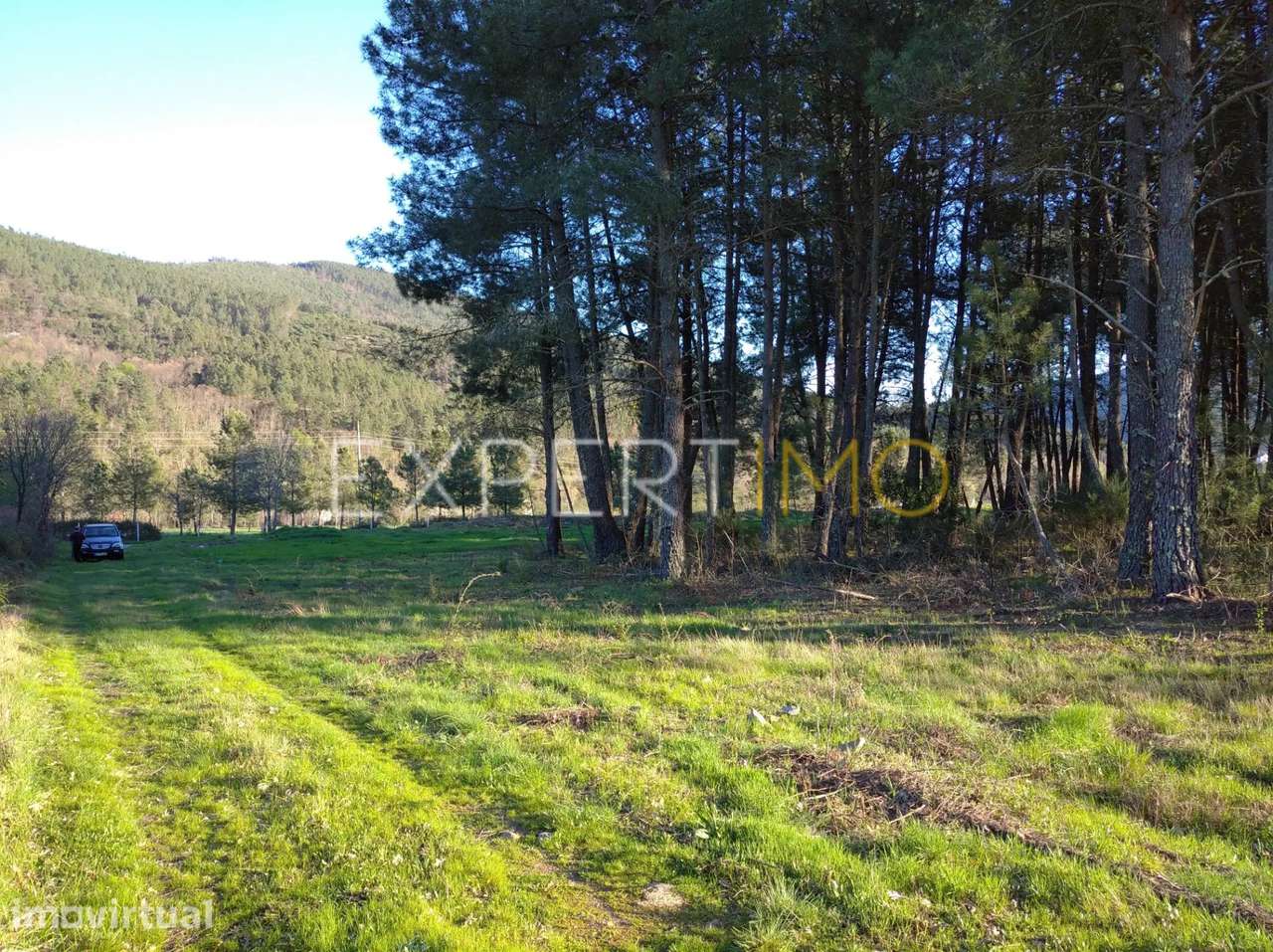 TERRENO AGRÍCOLA, plano, orografia regular, abundância de água e... - Grande imagem: 3/30