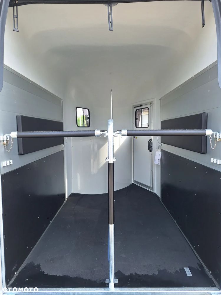 Cheval Liberte Gold Origin Debon - 5