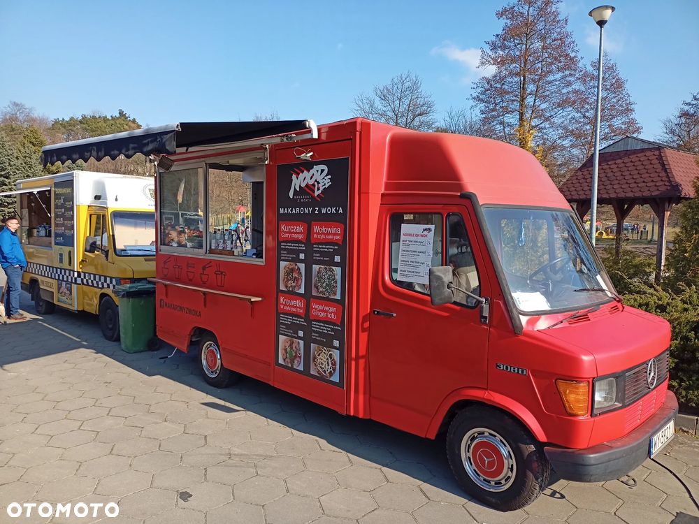 Mercedes-Benz 308D - 2