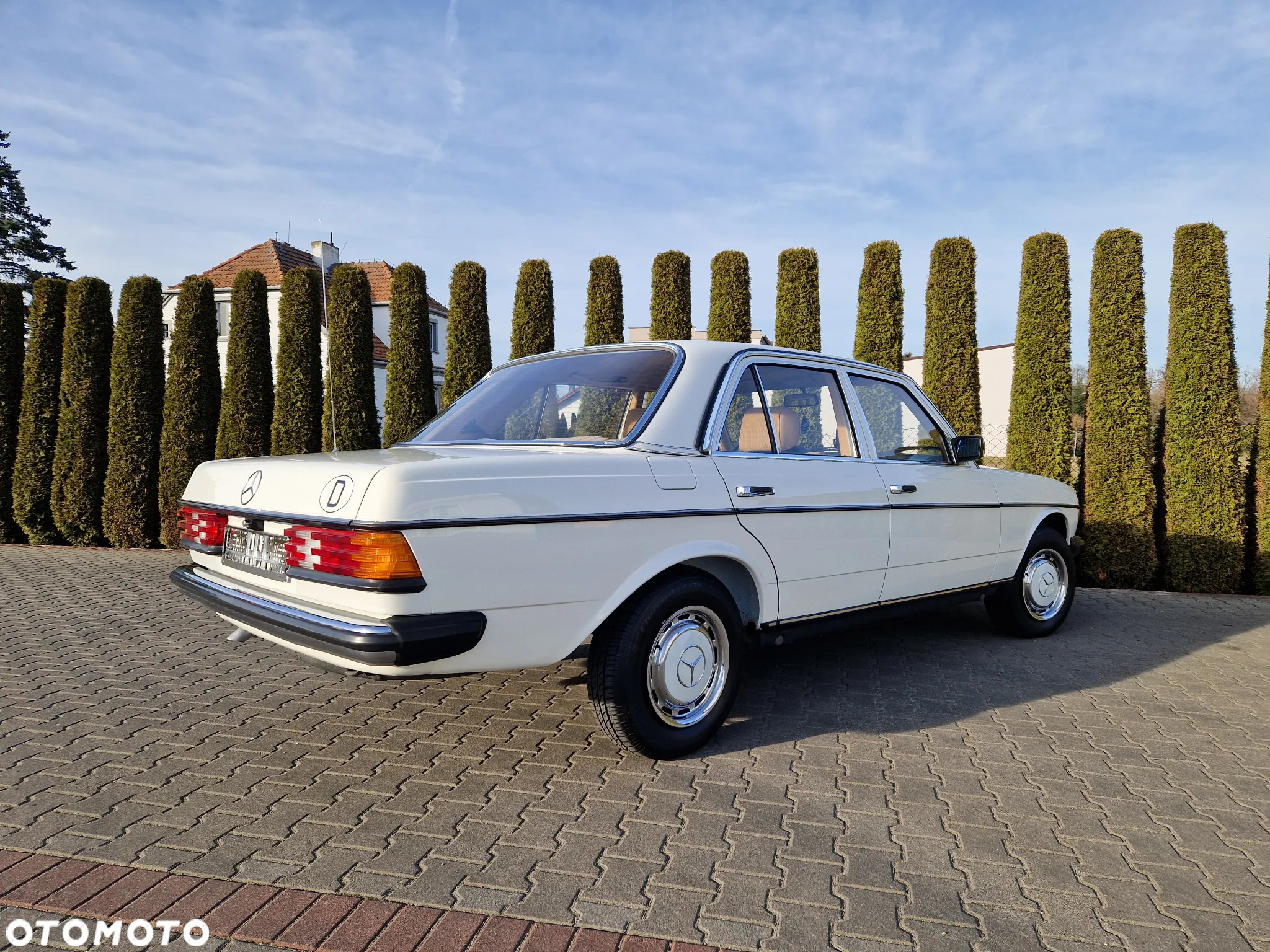 Mercedes-Benz W123 - 9
