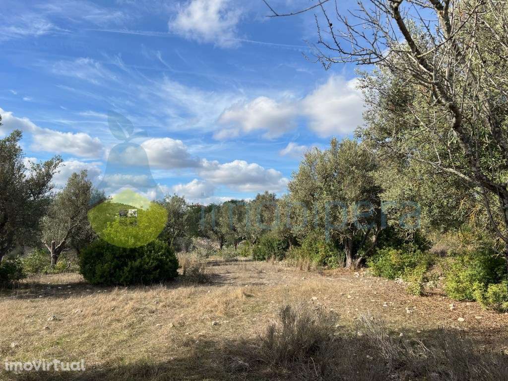 TERRENO RÚSTICO COM ZONA DE EQUADRAMENTO DE EDIFICAÇÃO DISPERSA - Grande imagem: 4/29