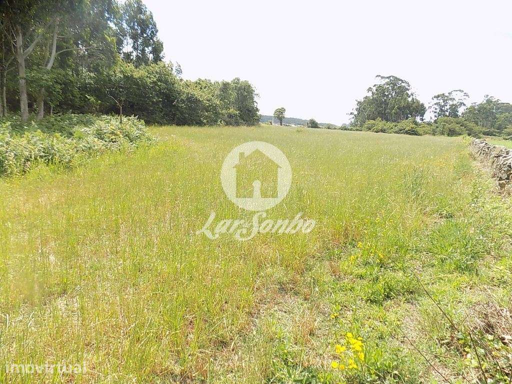 Terreno Misto c/ 92.000 m2 - Argivai - Grande imagem: 2/10