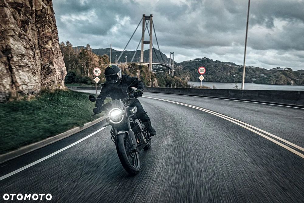 Husqvarna Svartpilen - 11