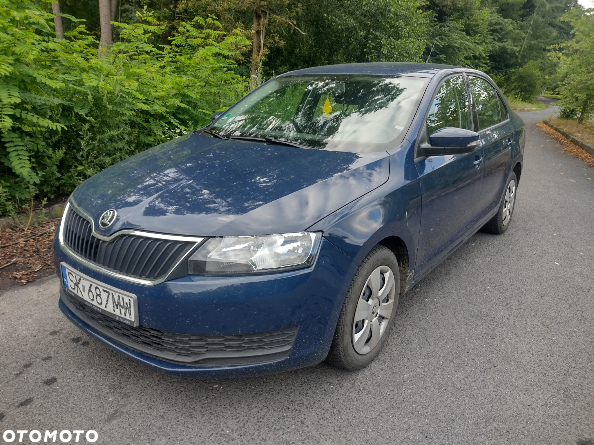 Skoda RAPID - 8