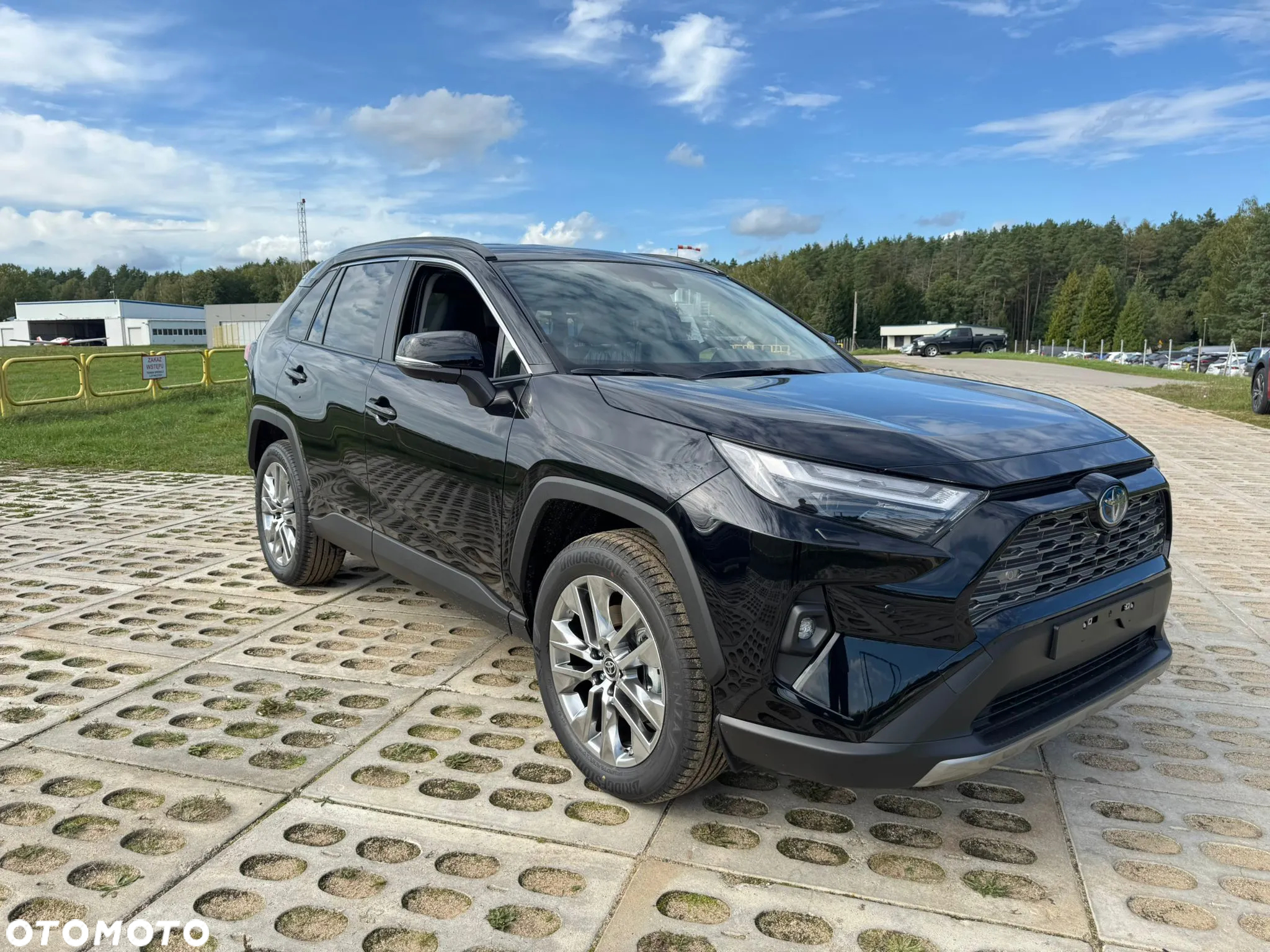 Toyota RAV4 2.5 Hybrid Executive 4x4 - 3