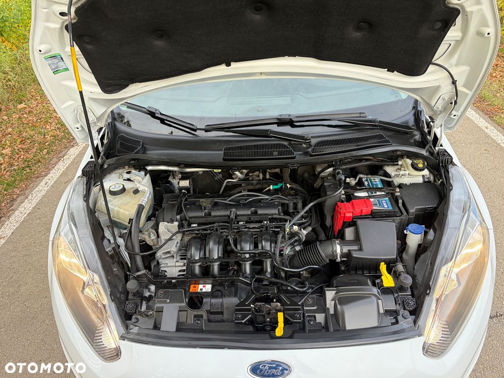 Ford Fiesta - 39