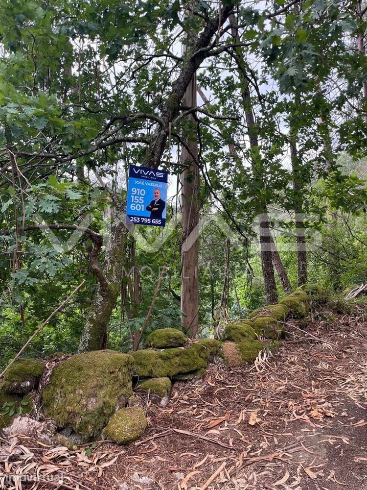 Terreno Rústico  Venda em Vilela, Seramil e Paredes Secas,Amares - Grande imagem: 5/8