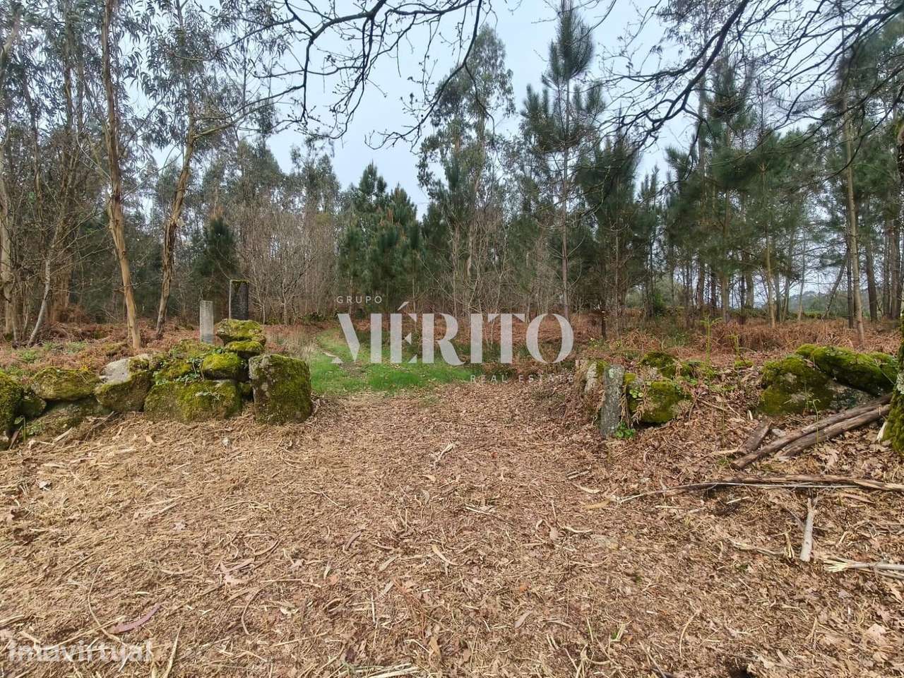 Terreno Agrícola com 10.760m2 em Cossourado frente ao Rio Neiva - Grande imagem: 2/17