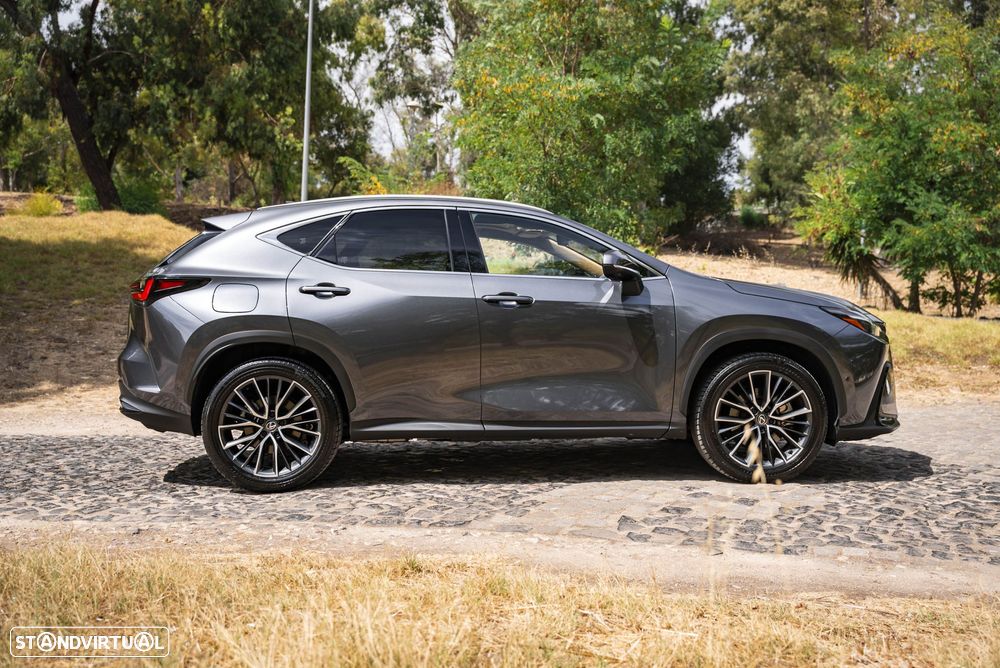Lexus NX 450h+ - 4