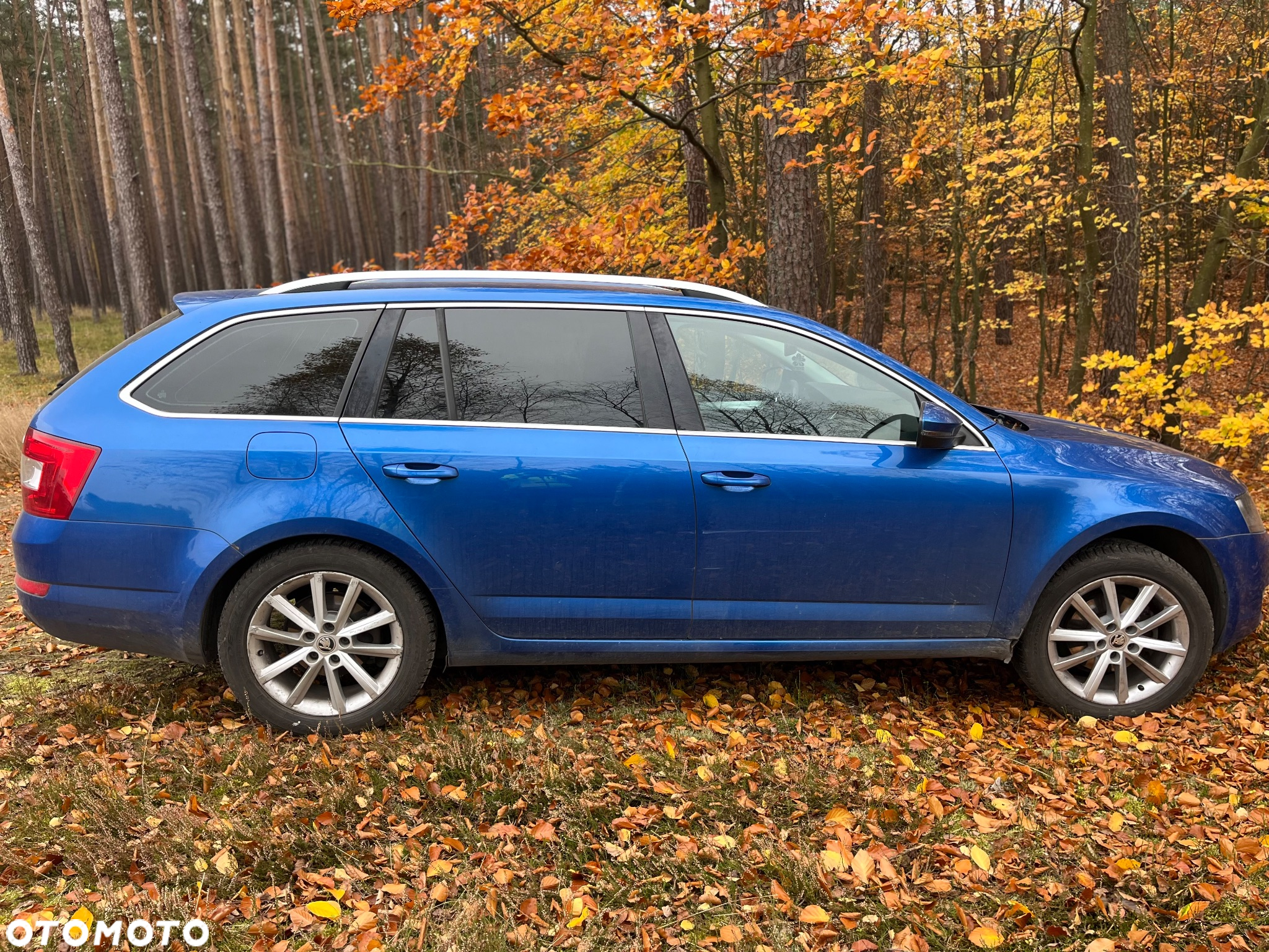 Skoda Octavia 2.0 TDI 4x4 Elegance - 8