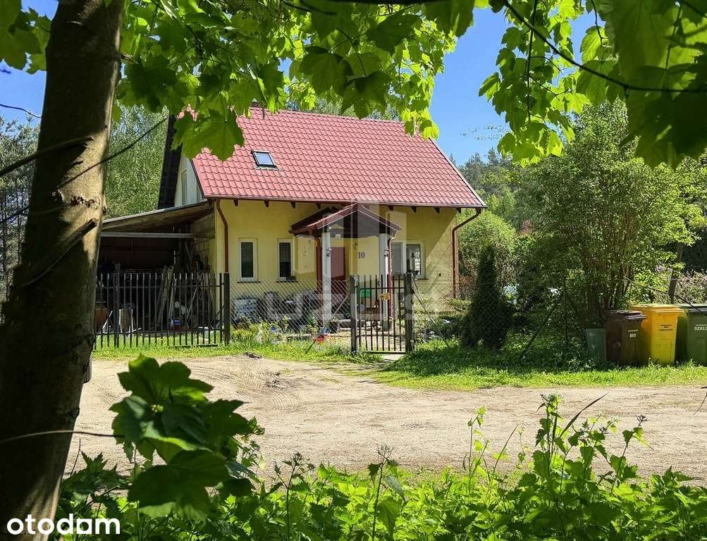 Dom przy lesie, 3 km od Starogardu Gdańskiego - Pełny obrazek: 4/20
