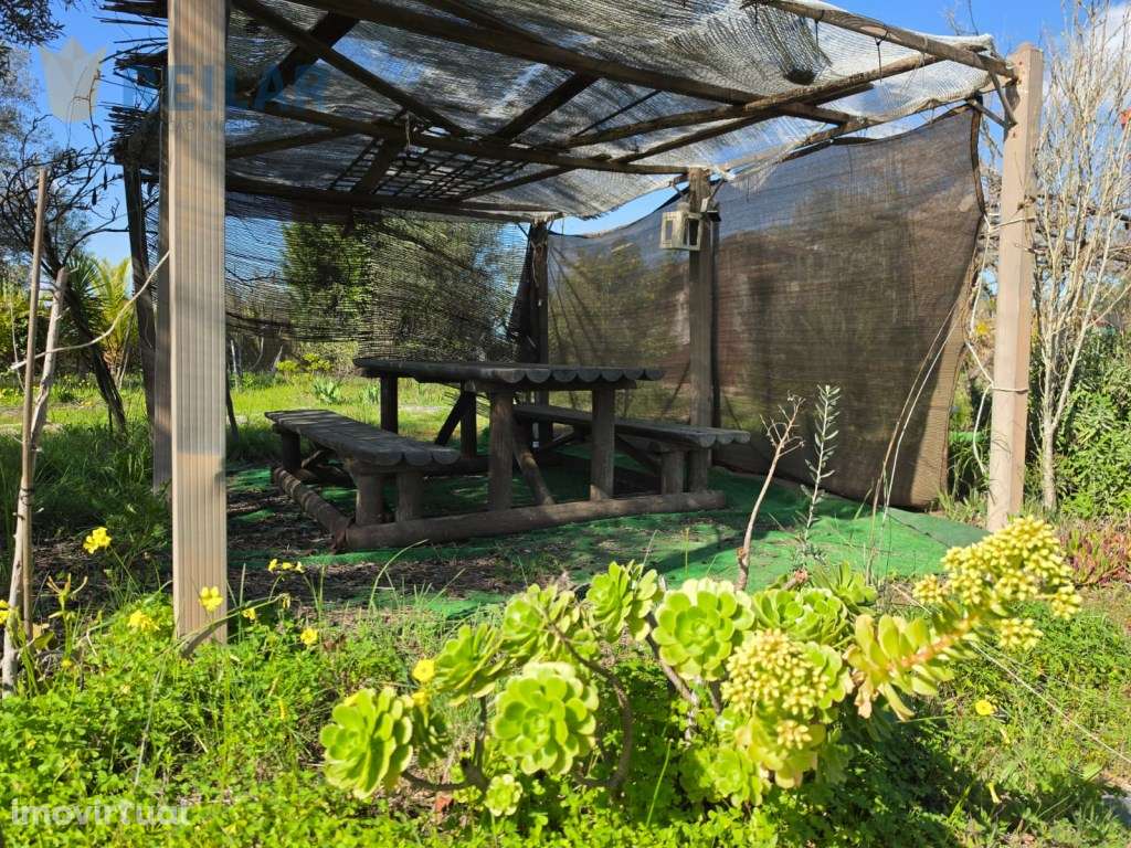 Monsaraz - Quinta 7.375 m2 - Grande imagem: 4/54