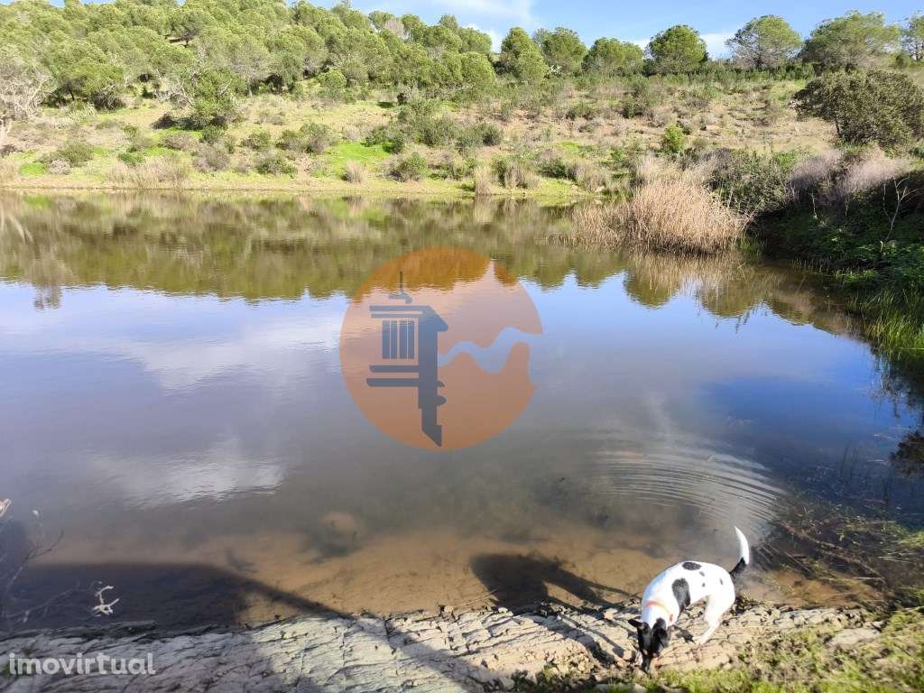 TERRENO COM 96.120 m² - COM POSSIBILIDADE DE CONSTRUÇÃO - VISTA LAG... - Grande imagem: 3/25