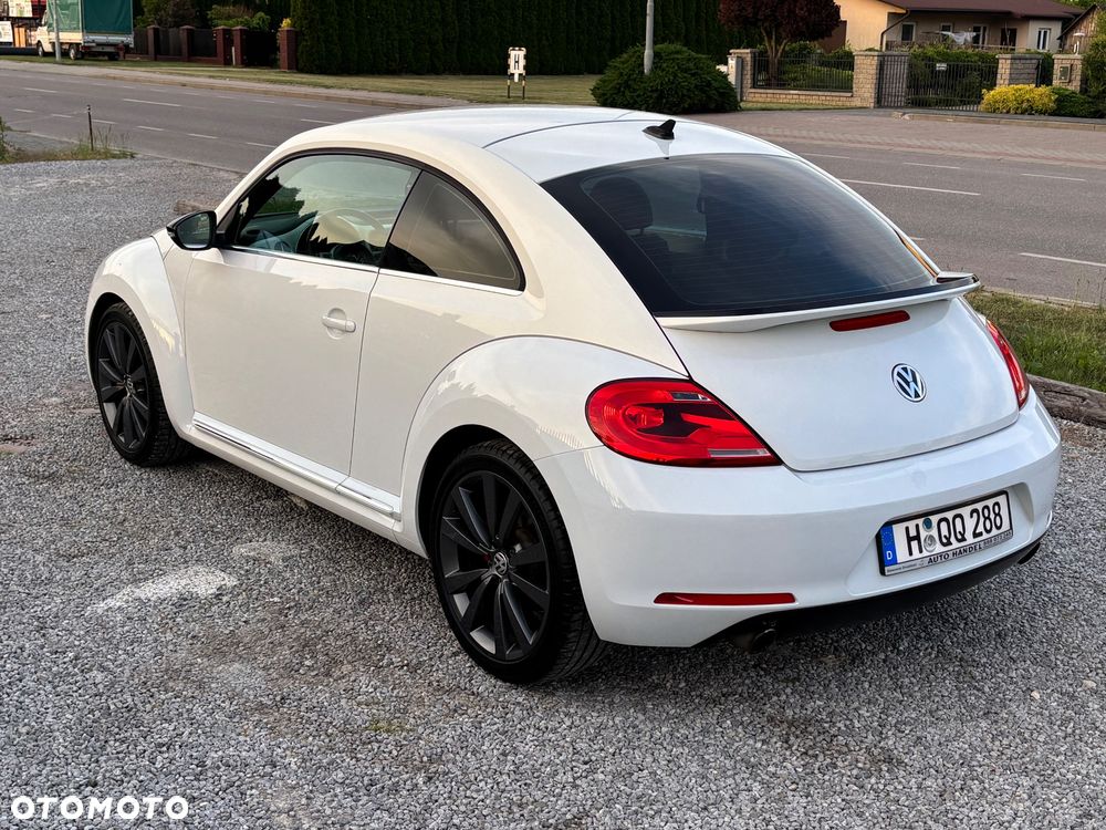 Volkswagen Beetle - 24