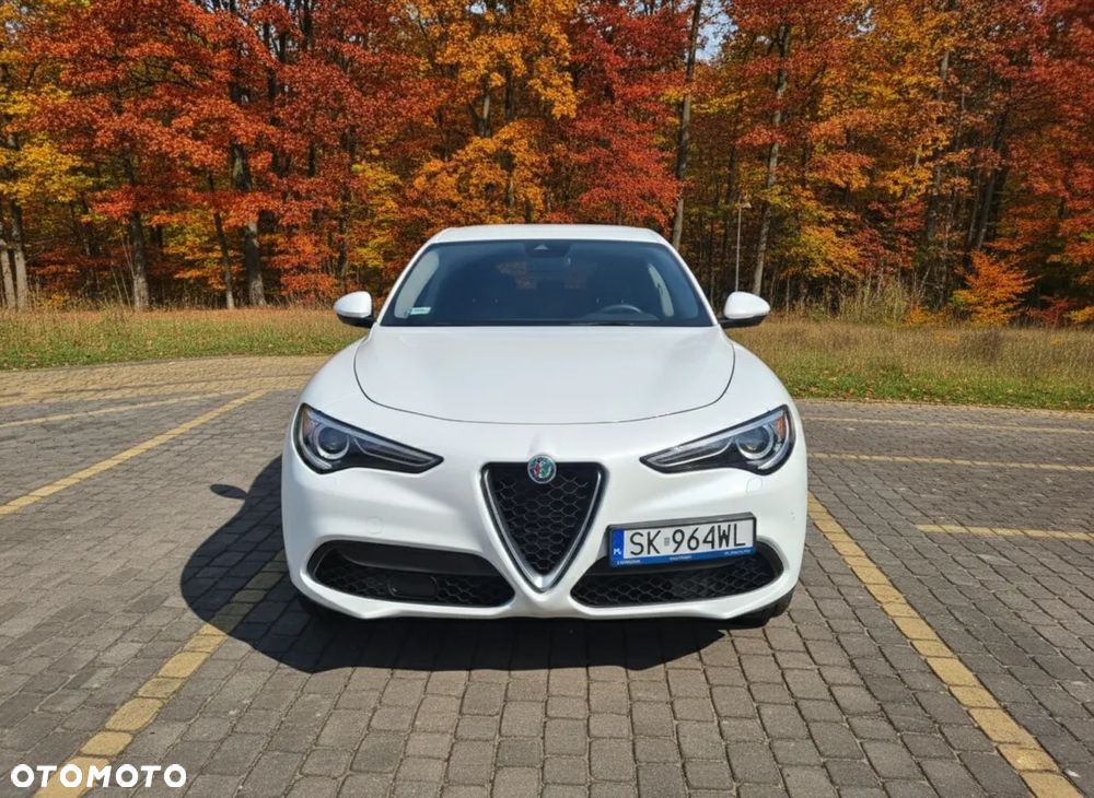 Alfa Romeo Stelvio 2.0 Turbo First Edition Q4 - 1