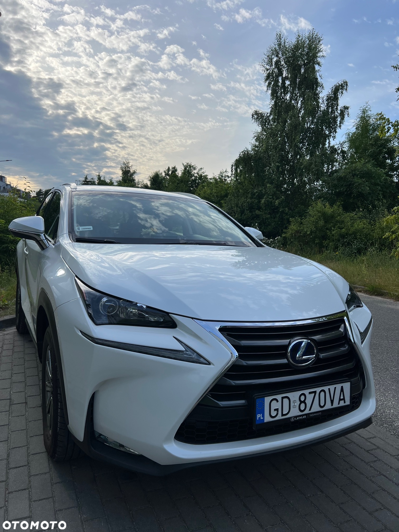 Lexus NX 300h Elite AWD - 5
