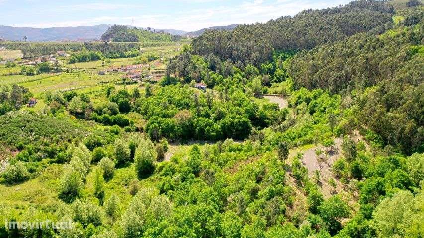 Quinta com moradia em pedra e terreno com 3 hectares em Celorico Basto - Grande imagem: 2/12