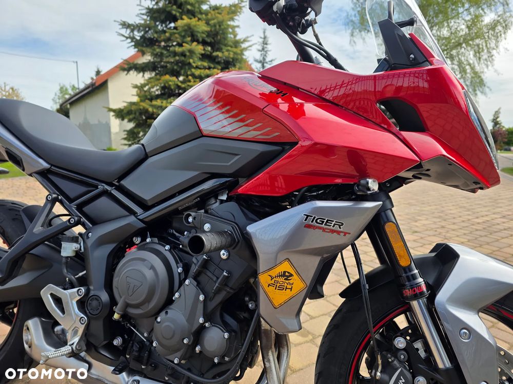 Triumph Tiger - 11