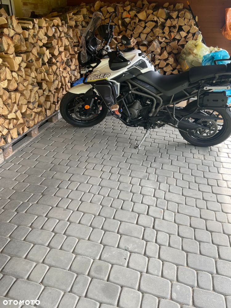 Triumph Tiger - 14