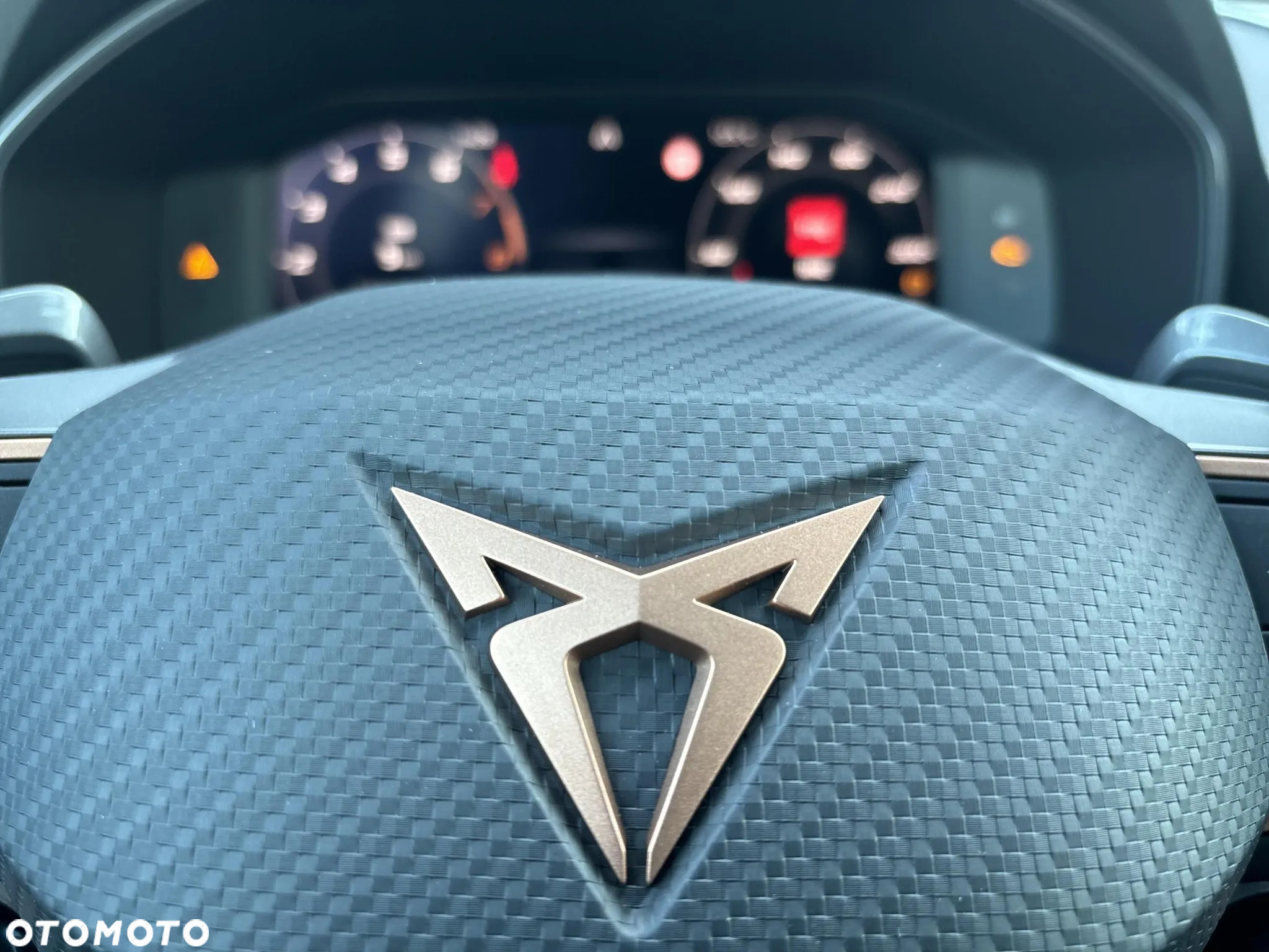 Cupra Formentor 2.0 TSI 4Drive DSG - 15