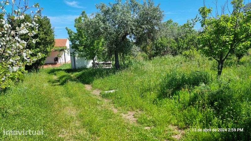 Quinta em Idanha-a-Nova de 1,3ha - Grande imagem: 3/10