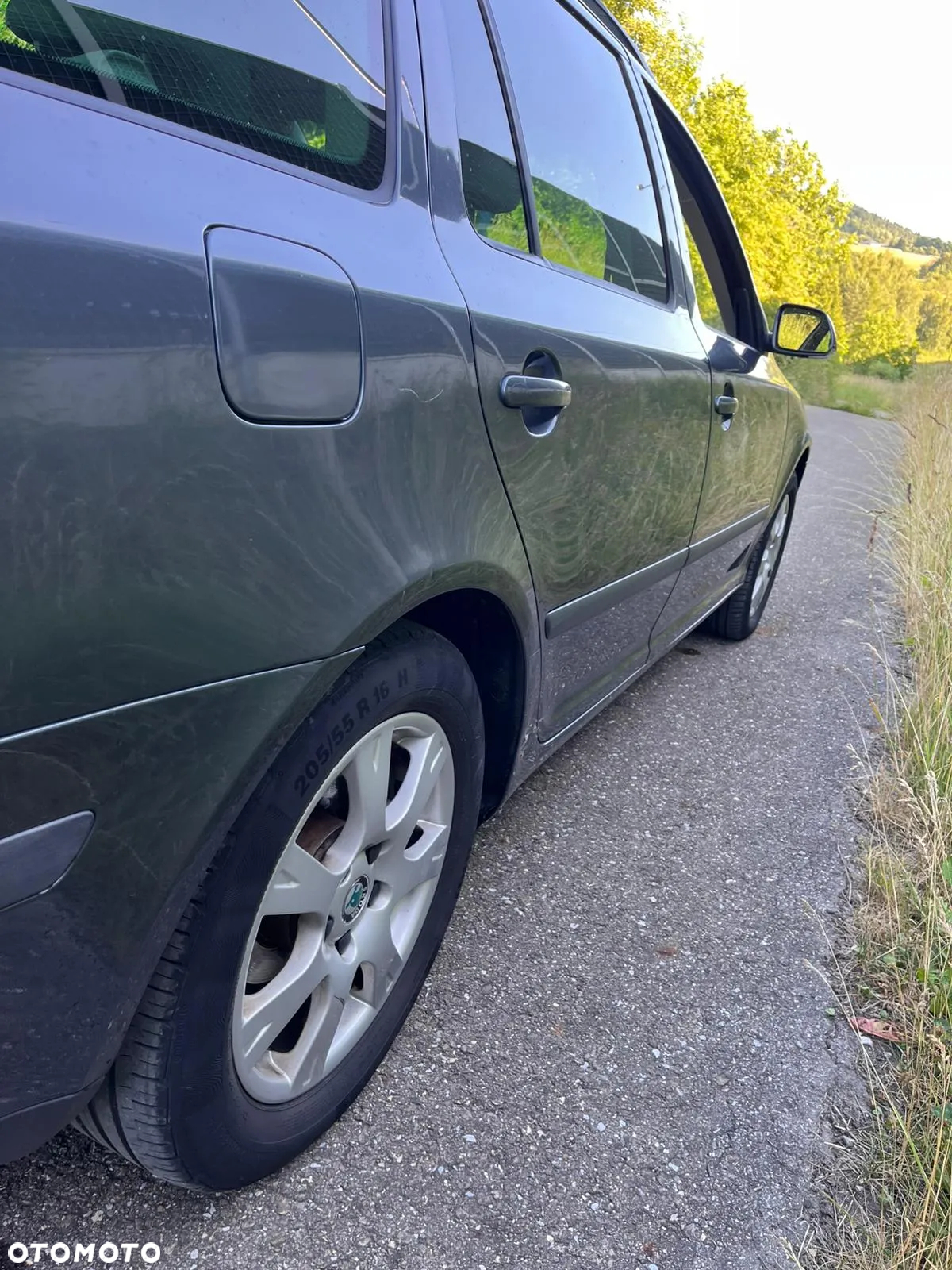 Skoda Octavia Combi 1.9 TDI DSG Elegance - 7