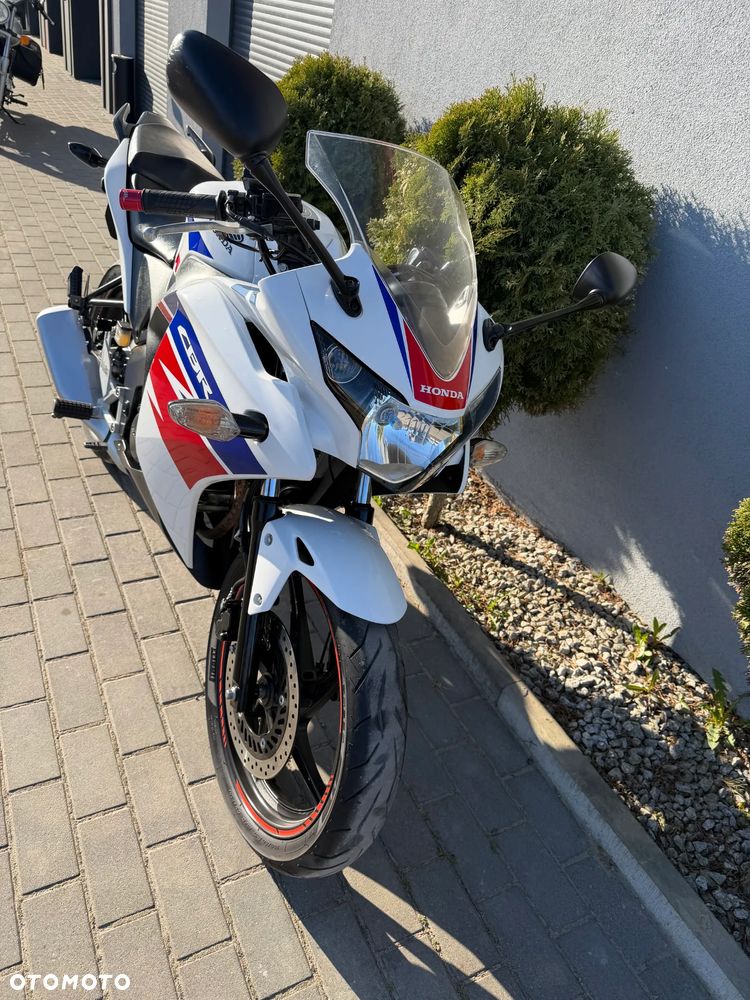 Honda CBR - 21