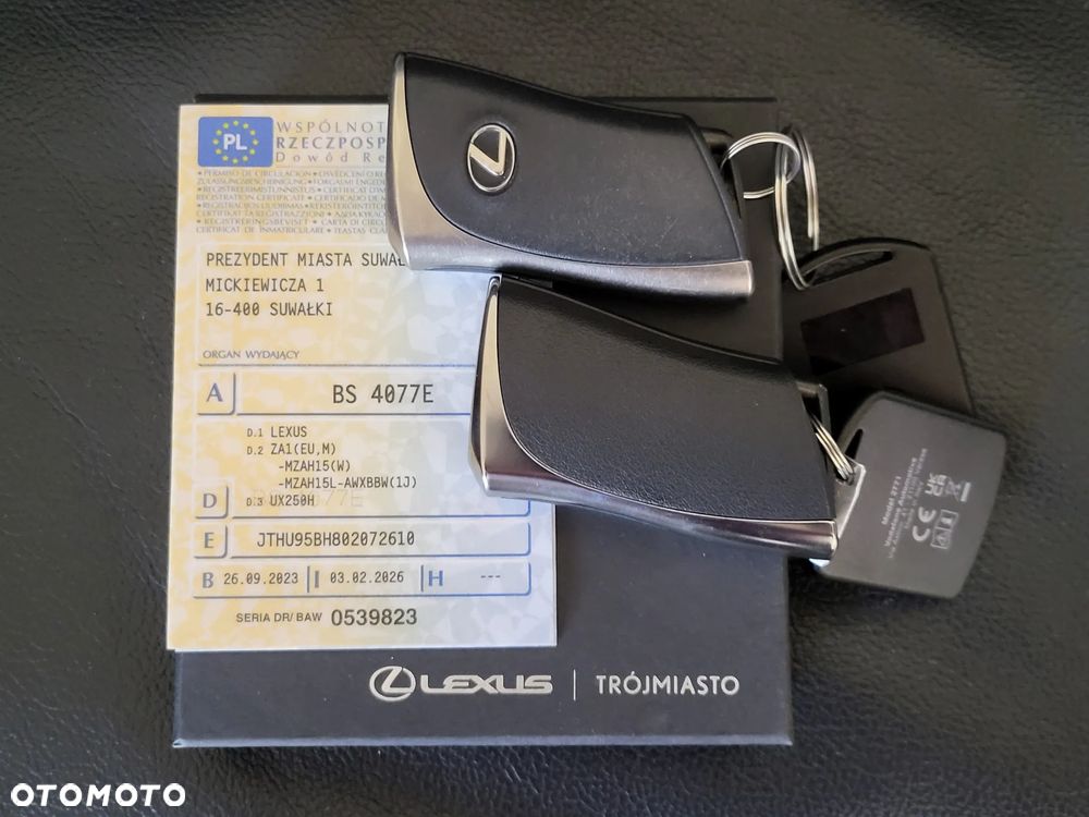 Lexus UX 250h GPF F Sport AWD - 30
