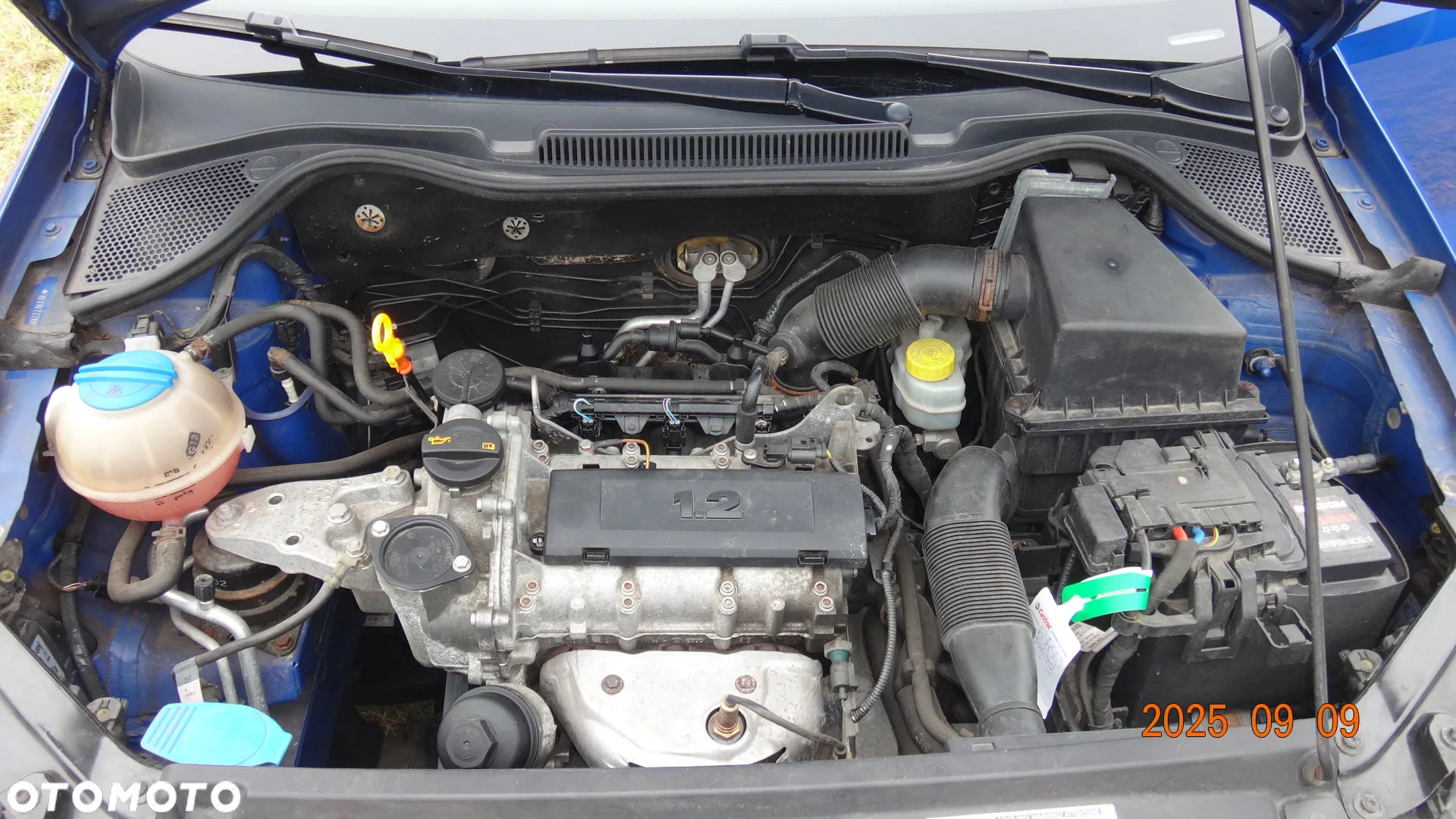 Volkswagen Polo - 17