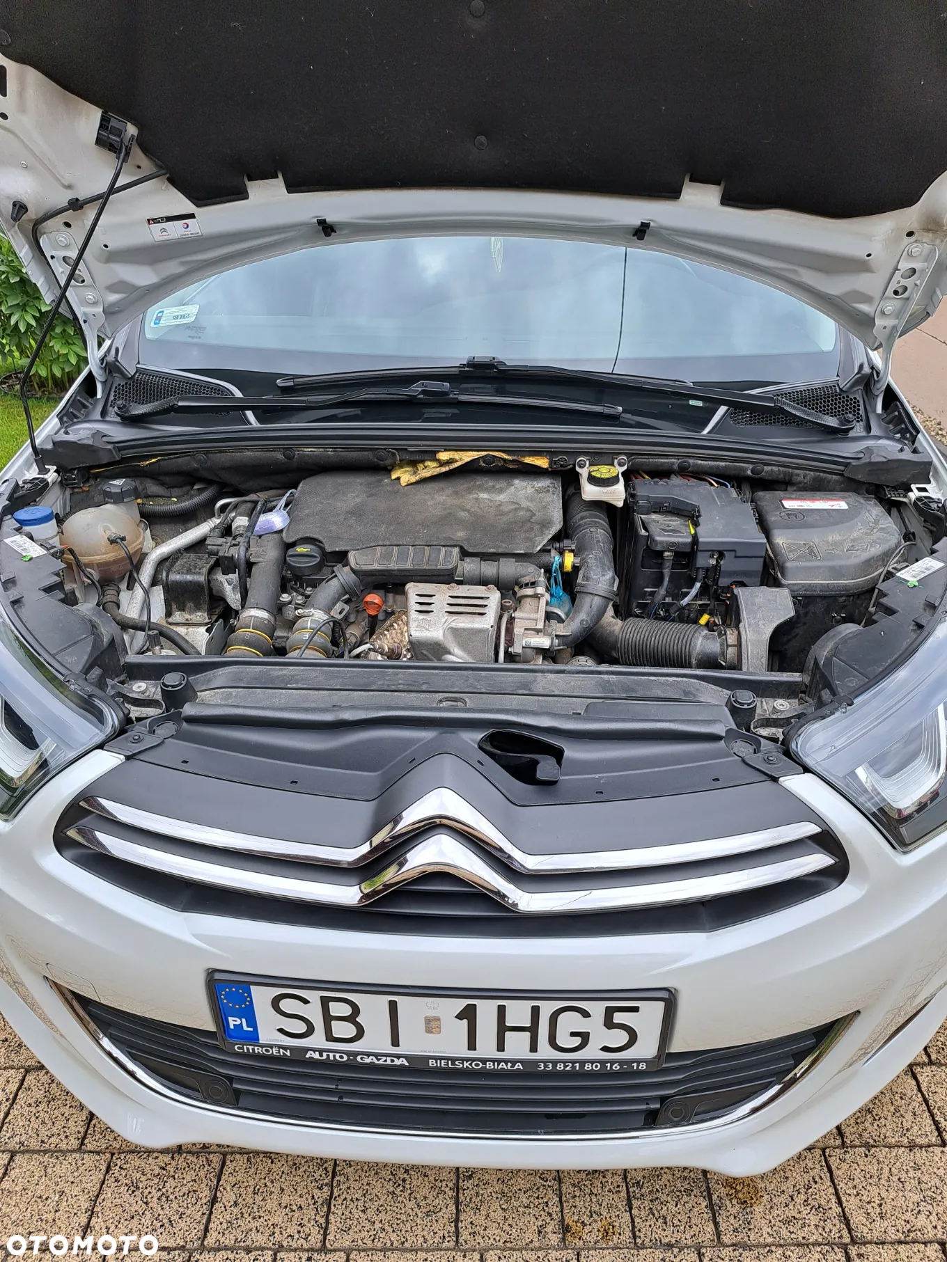 Citroën C4 1.2 PureTech Shine S&S - 7