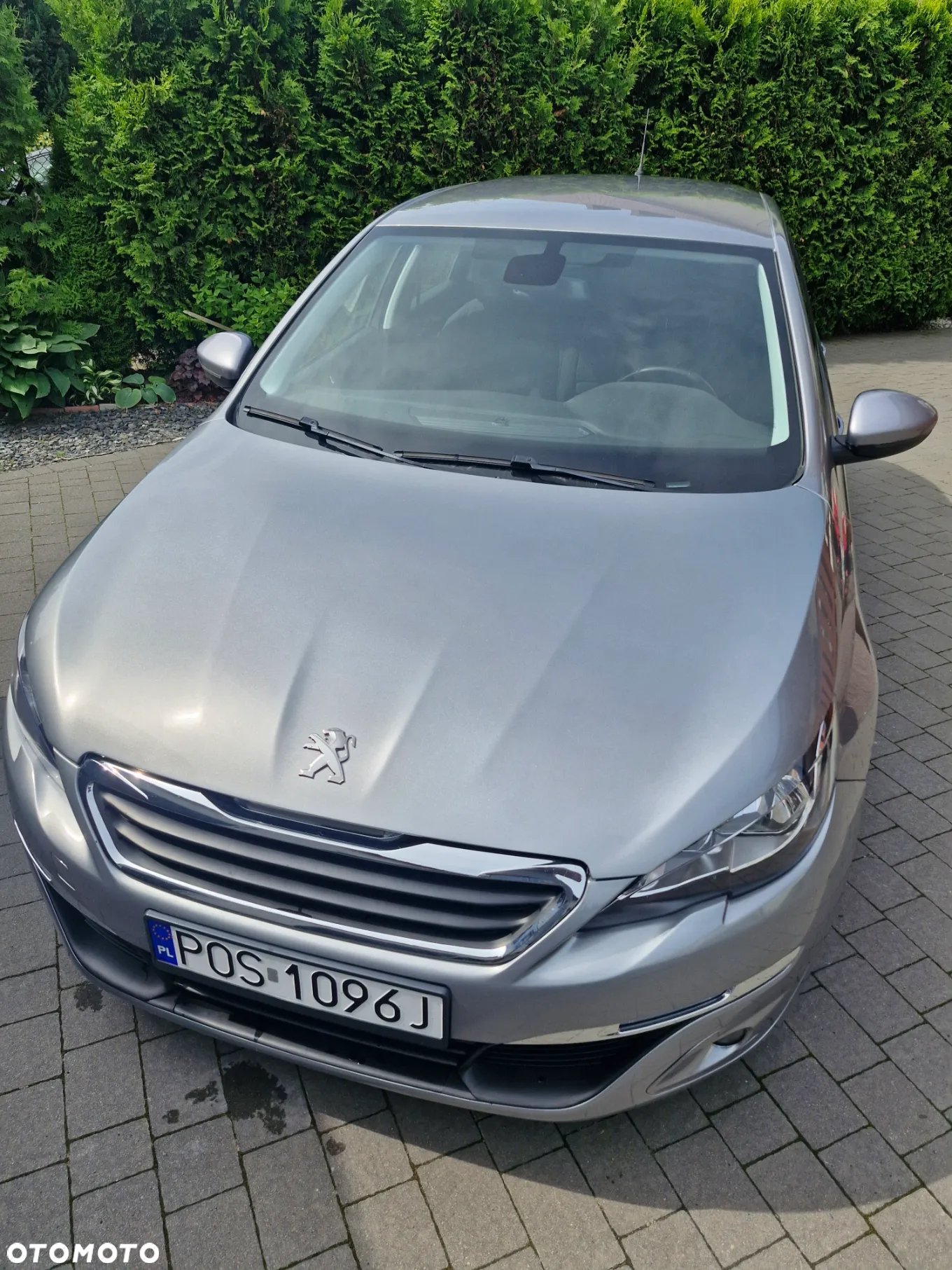 Peugeot 308 1.6 BlueHDi Active S&S - 2
