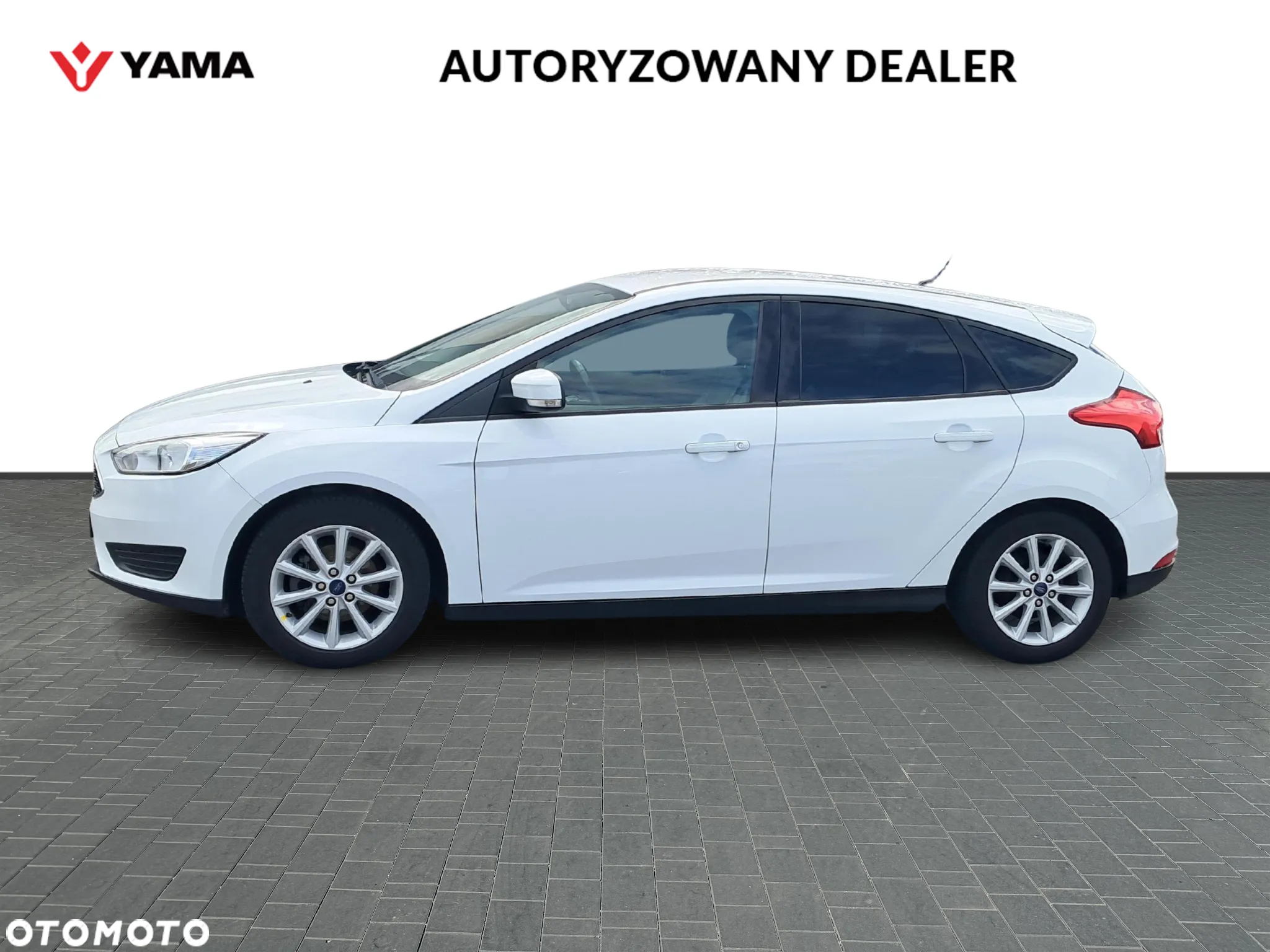 Ford Focus 1.6 Trend - 2