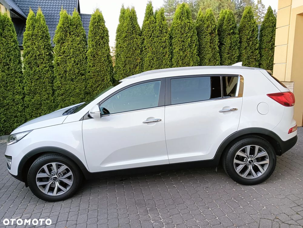 Kia Sportage - 25