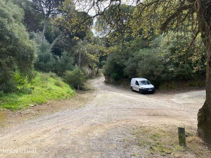 Exclusiva Ruína com Projeto de Reabilitação na Serra da Arrábida - Grande imagem: 3/7